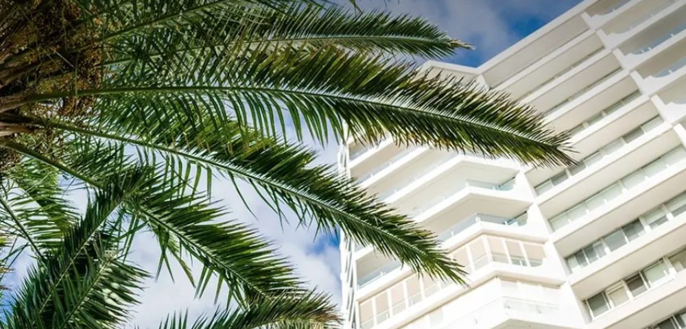 A palm tree's green fronds stretch against a bright sky, partially obscuring a modern white building's geometric balconies in a sunny scene.