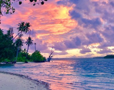 Tropical beach at sunset with palm trees and vibrant pink and purple clouds reflecting on the ocean. The scene feels serene and picturesque.
