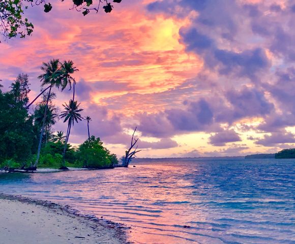Tropical beach at sunset with palm trees and vibrant pink and purple clouds reflecting on the ocean. The scene feels serene and picturesque.
