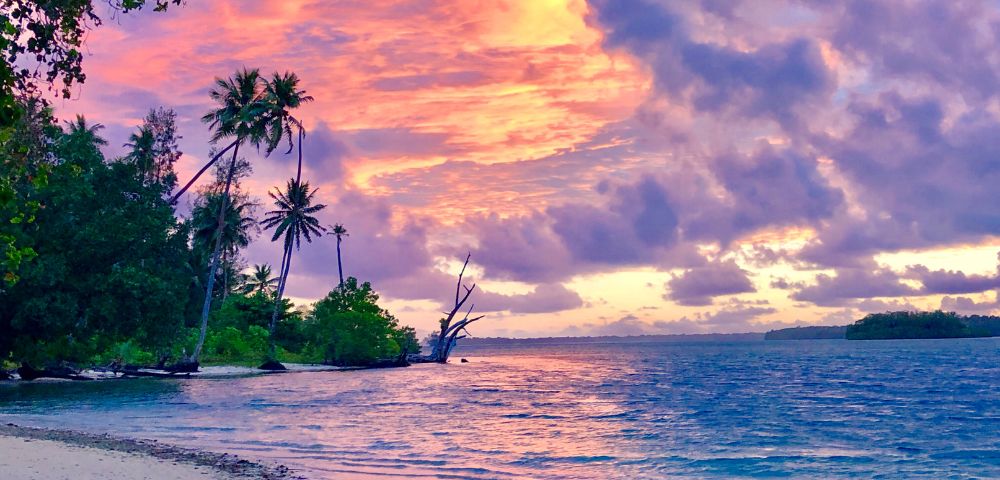 Tropical beach at sunset with palm trees and vibrant pink and purple clouds reflecting on the ocean. The scene feels serene and picturesque.