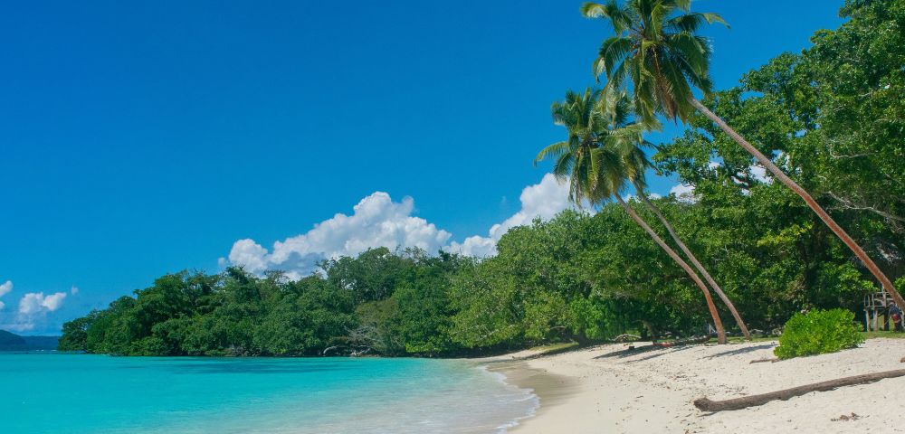 Tropical beach scene with turquoise water, clear blue sky, and white sand. Palm trees lean over the shore, creating a serene, idyllic atmosphere.