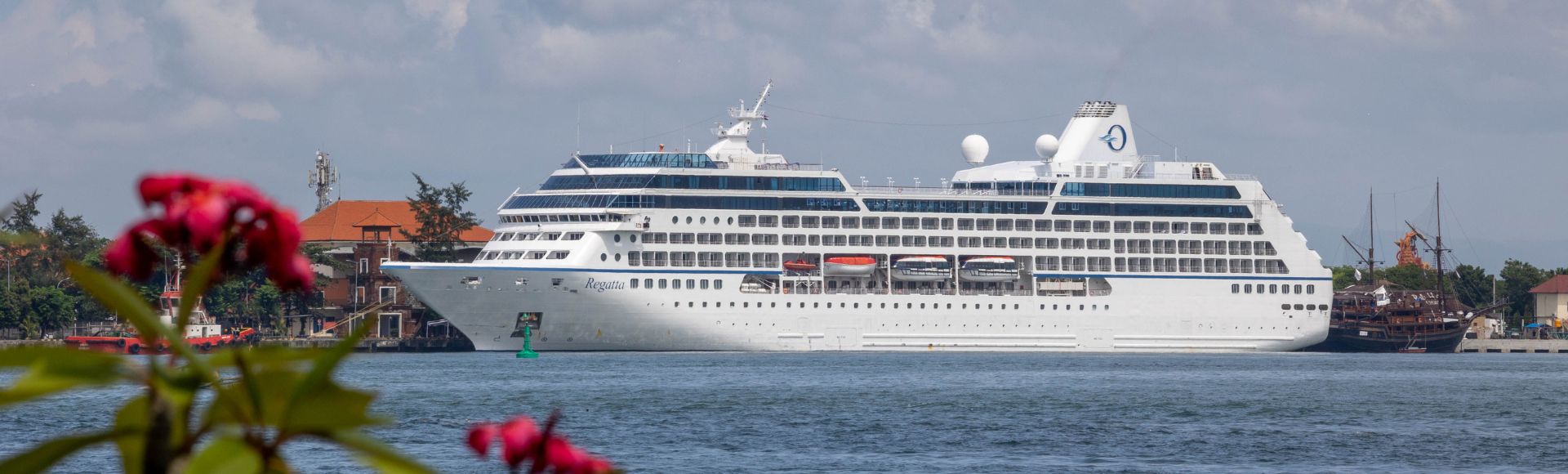 A large white cruise ship sails near a coastline under a partly cloudy sky. Vibrant pink flowers and green leaves frame the foreground, adding color.