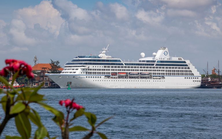 A large white cruise ship sails near a coastline under a partly cloudy sky. Vibrant pink flowers and green leaves frame the foreground, adding color.