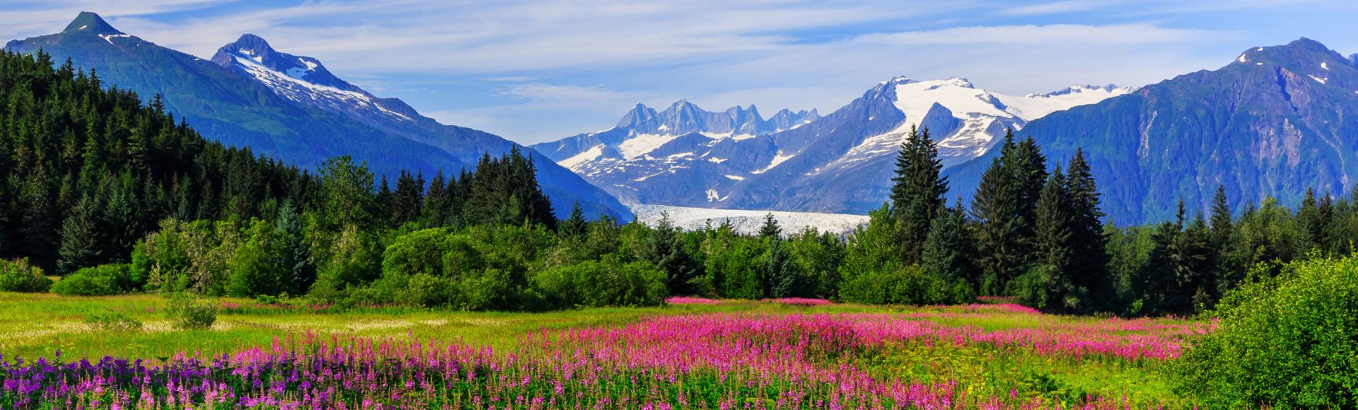 Vibrant meadow with pink flowers in the foreground, lush green trees in the middle, and towering snow-capped mountains under a blue sky in the background.