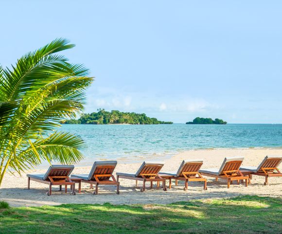 Sun-drenched beach with six empty wooden lounge chairs facing the turquoise ocean. A lush palm tree on the left adds a tropical feel. Relaxing and serene.