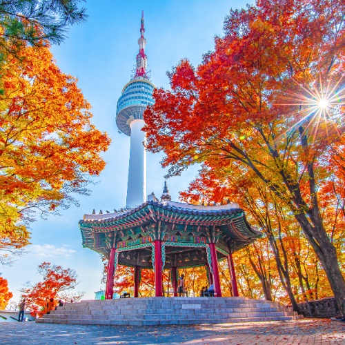 A traditional Korean pavilion surrounded by vibrant autumn foliage below the Namsan Seoul Tower under a clear blue sky, conveying a serene, colorful scene.