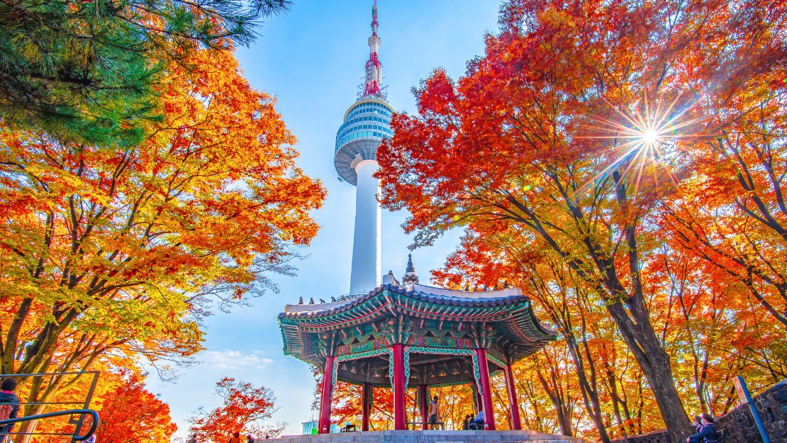 A traditional Korean pavilion surrounded by vibrant autumn foliage below the Namsan Seoul Tower under a clear blue sky, conveying a serene, colorful scene.