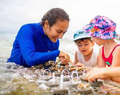 A woman and two children play with a wooden toy structure on a sunny beach. The children wear colorful hats, looking engaged and curious.