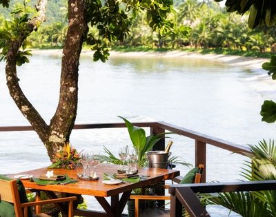 A tropical dining setup overlooks a serene, sandy beach and calm sea. A wooden table with elegant place settings, chairs, and a champagne bucket under lush greenery.