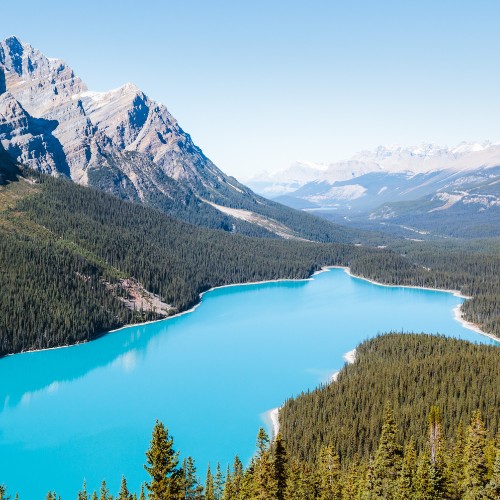 Turquoise lake surrounded by dense pine forests and towering, rocky mountains under a clear blue sky, conveying a sense of tranquility and awe.