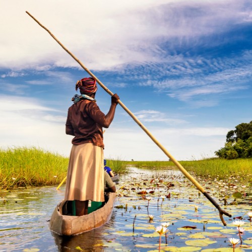 A person stands in a canoe, navigating a serene wetland with a pole. Surrounding them are lily pads and lush greenery under a clear blue sky.