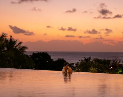 A couple embraces in an infinity pool at sunset, surrounded by tropical trees. The sky is a gradient of orange and pink, creating a romantic ambiance.
