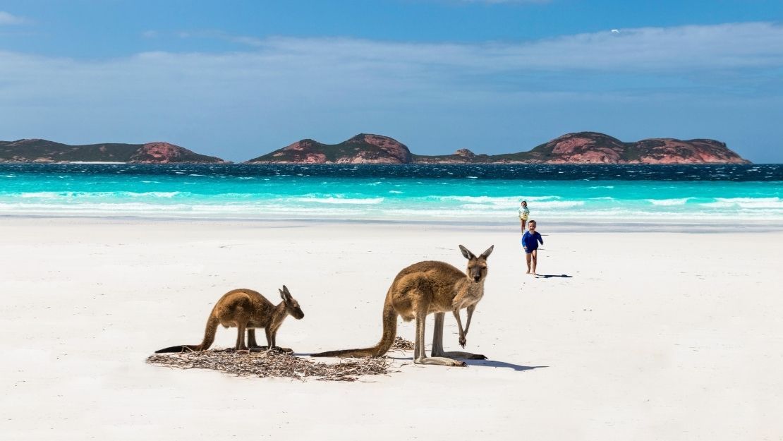 Two kangaroos on a pristine white beach with turquoise ocean waves. A child runs in the distance, evoking a sense of wonder and adventure.