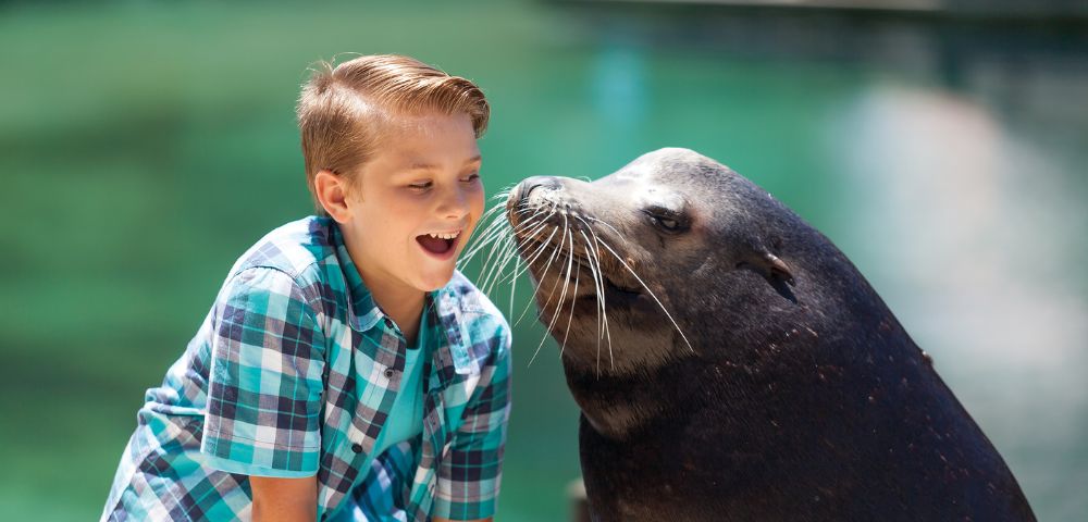 A boy in a plaid shirt laughs joyfully next to a seal touching his cheek with its nose, set against a blurred aquatic background.