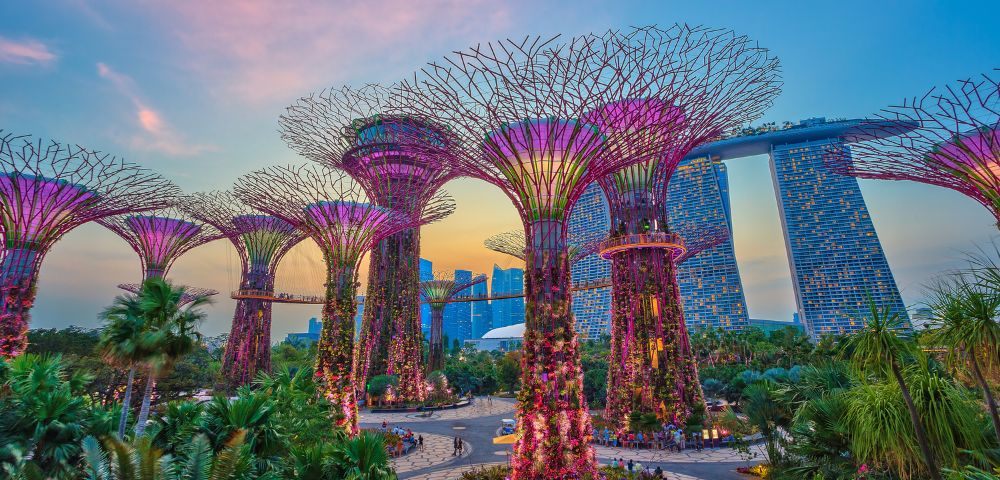 Futuristic Supertree Grove at Singapore's Gardens by the Bay, illuminated with purple lights at sunset, with lush greenery and a large building backdrop.