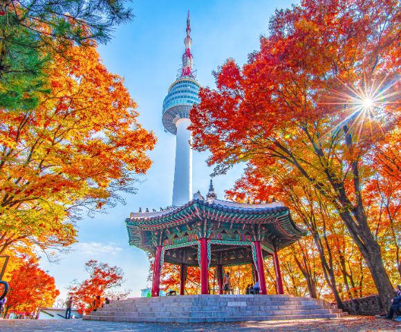 Namsan Seoul Tower rises above vibrant autumn trees with a traditional Korean pavilion in the foreground. Sunlight filters through colorful foliage.