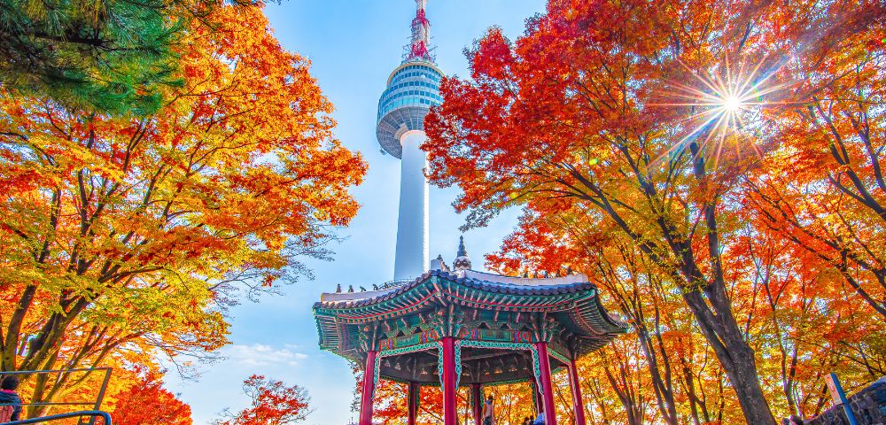 Namsan Seoul Tower rises above vibrant autumn trees with a traditional Korean pavilion in the foreground. Sunlight filters through colorful foliage.