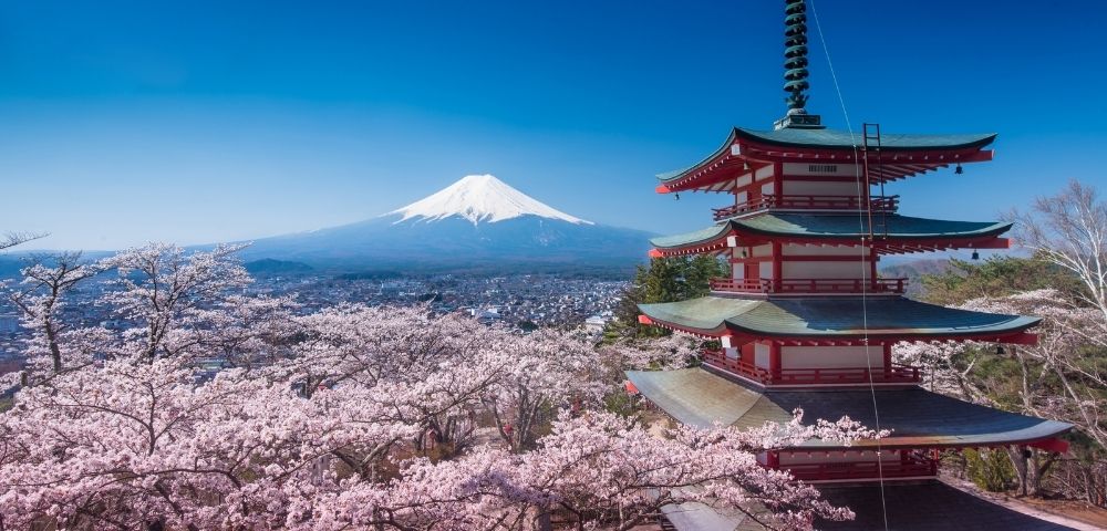 Ultimate Great Wall, Panda & Cherry Blossom Exploration Image 1