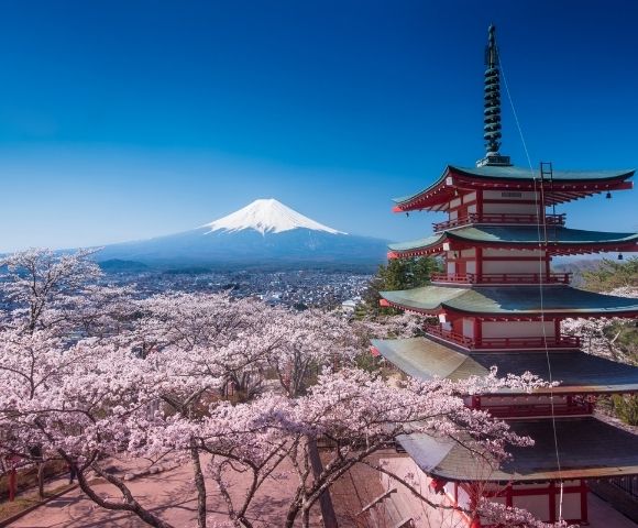 Ultimate Great Wall, Panda & Cherry Blossom Exploration Image 1
