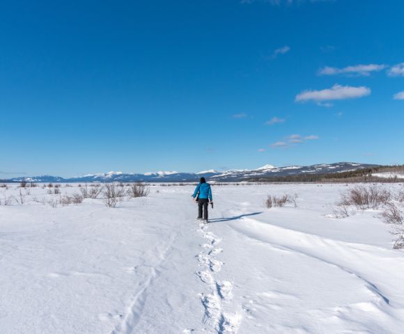 A person in a blue jacket walks across a vast snowy field, leaving footprints behind. The scene is under a clear blue sky with distant mountains.
