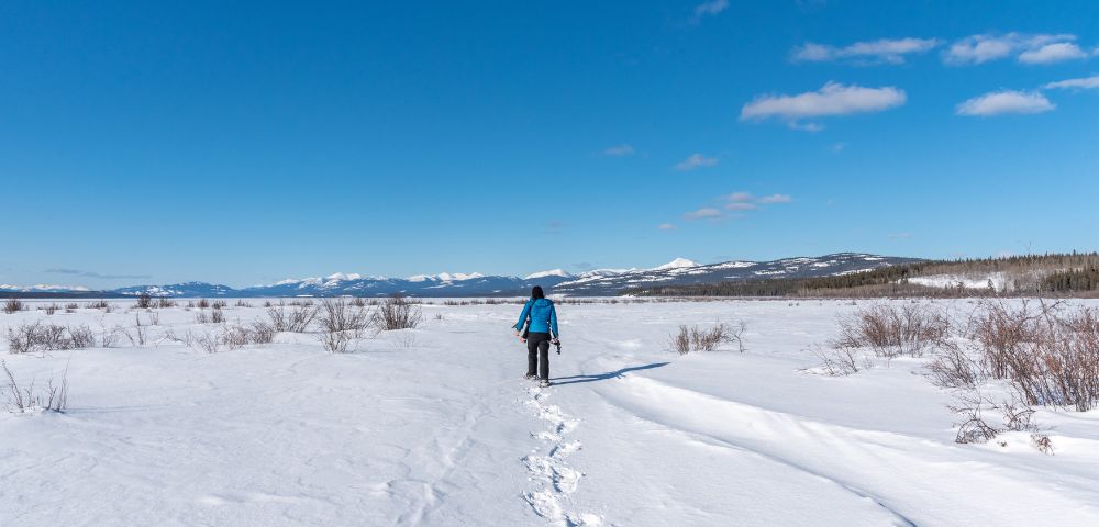 A person in a blue jacket walks across a vast snowy field, leaving footprints behind. The scene is under a clear blue sky with distant mountains.
