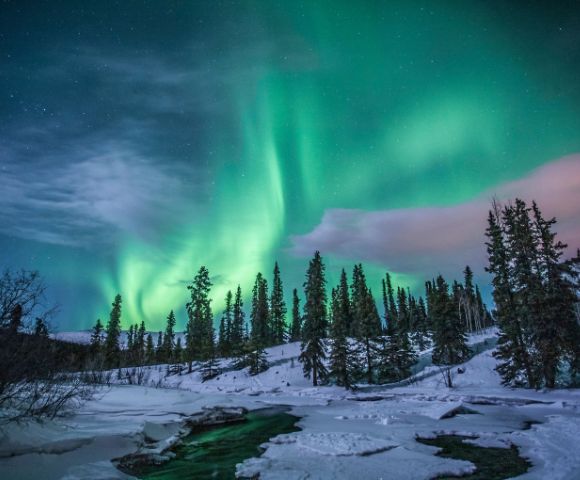 The aurora borealis glows green and pink over a snowy forest and frozen river. Tall evergreen trees are silhouetted against the vibrant night sky.