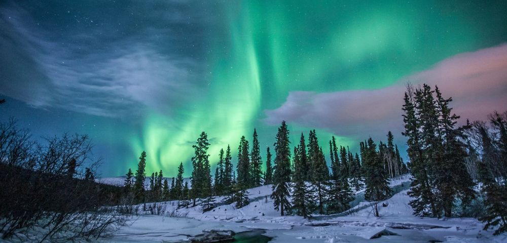 The aurora borealis glows green and pink over a snowy forest and frozen river. Tall evergreen trees are silhouetted against the vibrant night sky.