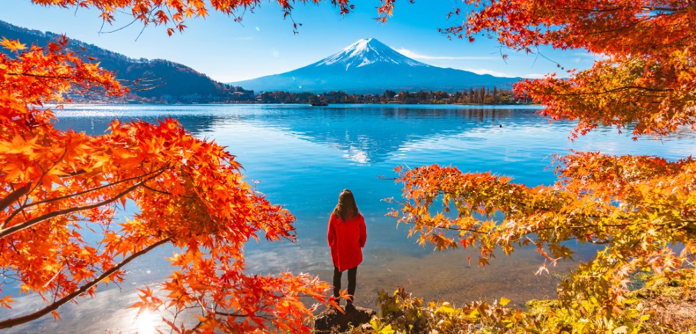 A person in a red coat stands by a lake framed by vibrant autumn leaves, gazing at a snow-capped mountain under a clear blue sky, evoking tranquility.