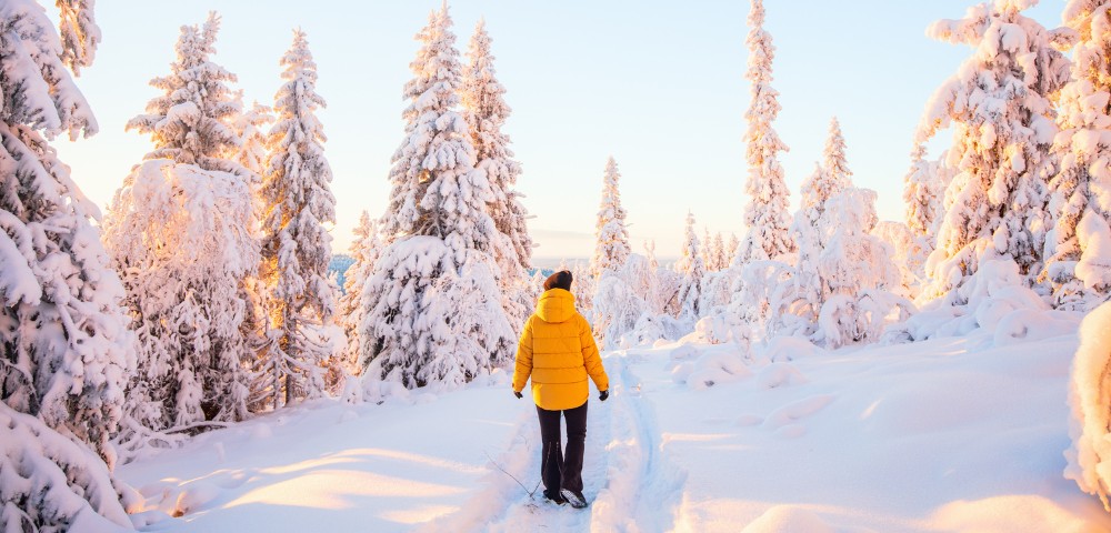 A person in a yellow jacket walks through a snow-covered forest at sunrise. Tall trees are blanketed in snow, creating a serene winter scene.