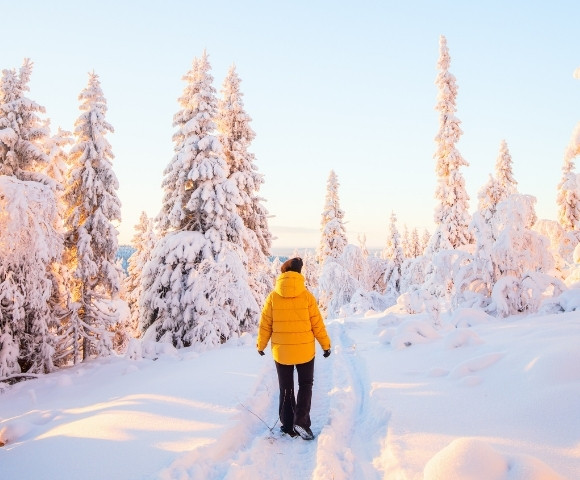 A person in a yellow jacket walks through a snowy forest, surrounded by tall, snow-covered trees under a clear sky.