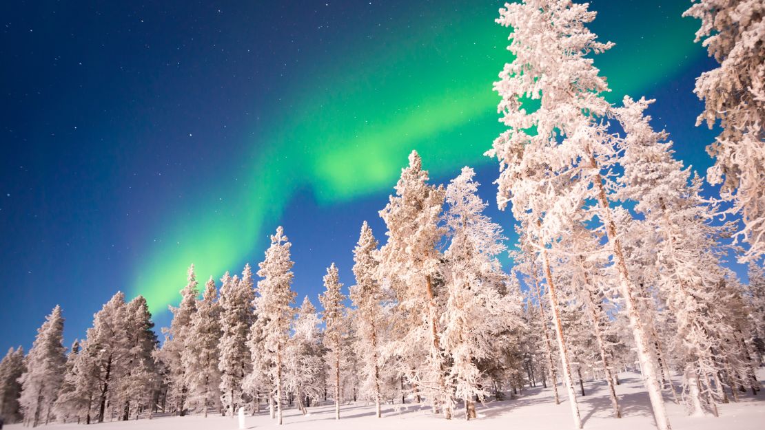 Snow-covered trees under a vivid green aurora borealis against a starry night sky. The scene conveys a serene and magical winter atmosphere.