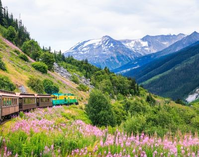 A colorful train travels through lush green hills with pink wildflowers, framed by tall trees and snow-capped mountains in the background.
