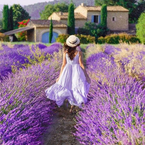 A woman in a flowing white dress walks through a vibrant lavender field towards a rustic stone house, exuding a serene and idyllic ambiance.