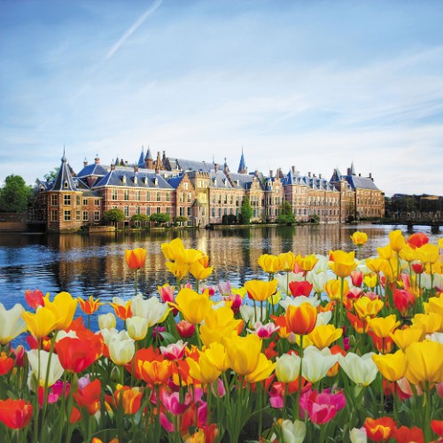 Colorful tulips in the foreground, with an elegant historic building by a reflective lake under a clear blue sky. The scene is vibrant and peaceful.