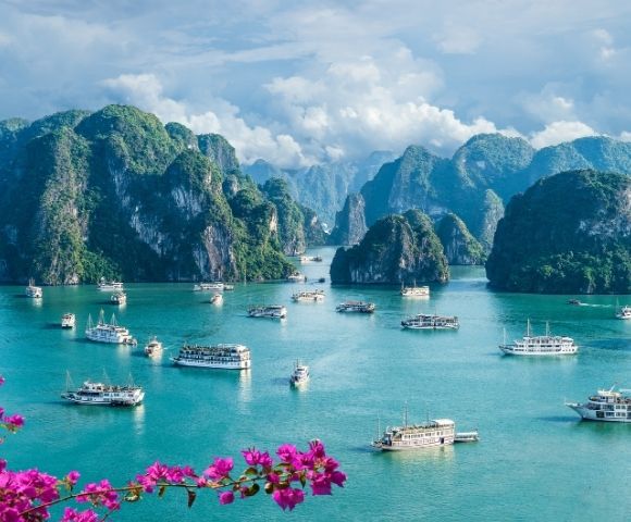 Boats scattered on turquoise water surrounded by lush green karst mountains under a partly cloudy sky, with pink flowers in the foreground.