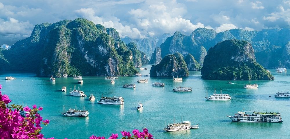 Boats scattered on turquoise water surrounded by lush green karst mountains under a partly cloudy sky, with pink flowers in the foreground.