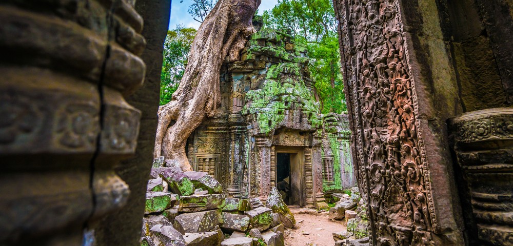 Ancient temple ruins with intricate carvings frame a massive tree growing over moss-covered stones, conveying a sense of history and nature's resilience.
