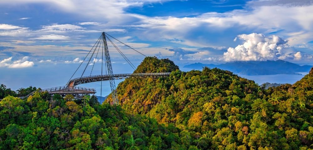 A curved pedestrian skybridge spans between two jungle-covered mountaintops, with a central pylon supporting suspension cables.