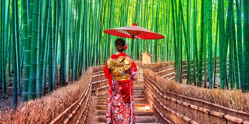 A person in a floral red kimono holds a red parasol, walking through a serene bamboo forest on a stone path. The scene exudes tranquility and culture.