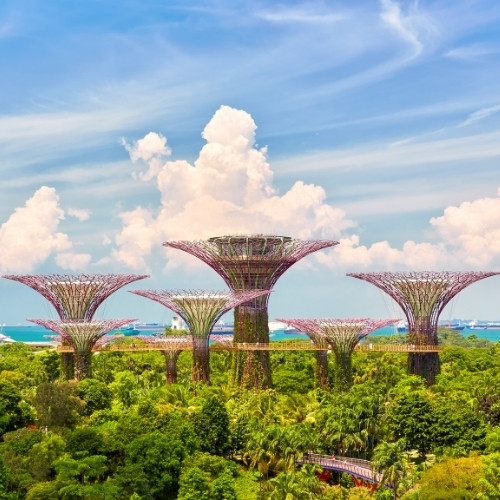 Futuristic tree structures in a lush garden setting, with a backdrop of blue sky and fluffy clouds. The scene feels vibrant and innovative.