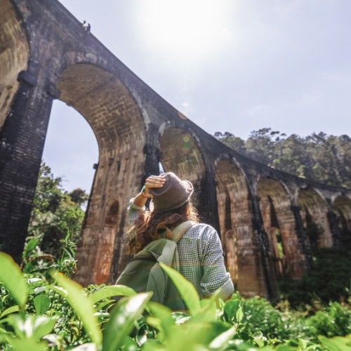 A person with a backpack and hat stands amidst lush greenery, looking up at a towering, weathered stone viaduct under a bright, sunlit sky.
