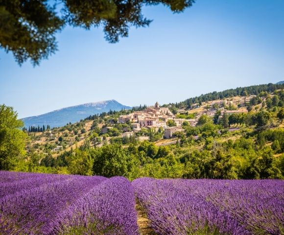 Vibrant lavender fields stretch into the distance, leading to a distant village nestled among lush hills under a clear blue sky, evoking tranquility.