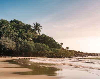 A tropical beach scene with lush green foliage and palm trees covering a rocky hillside overlooking the ocean. Gentle waves lap at the sandy shore under a pale, sunlit sky.