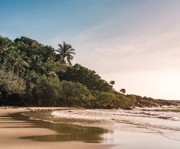A tropical beach scene with lush green foliage and palm trees covering a rocky hillside overlooking the ocean. Gentle waves lap at the sandy shore under a pale, sunlit sky.