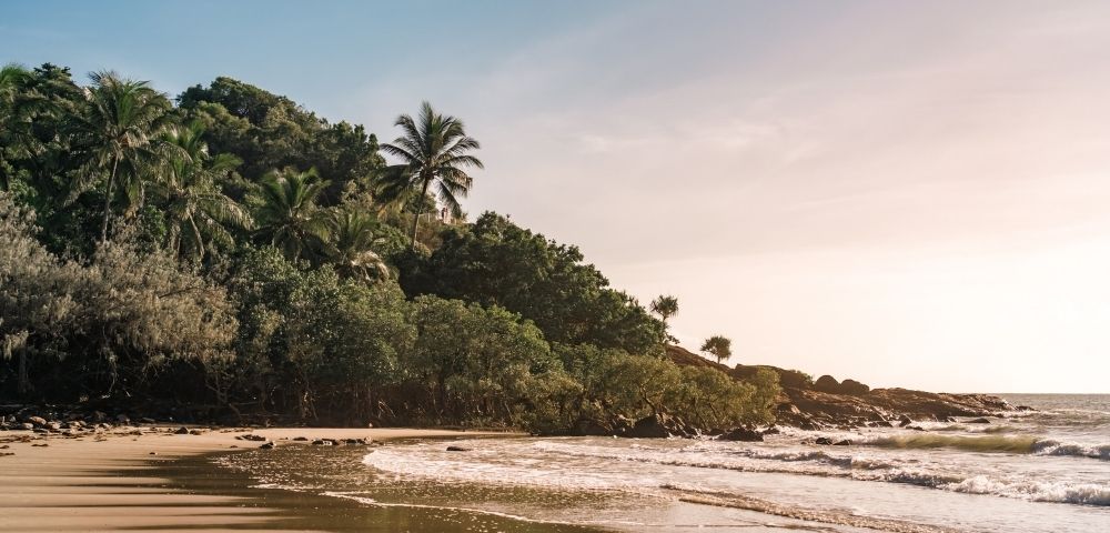 A tropical beach scene with lush green foliage and palm trees covering a rocky hillside overlooking the ocean. Gentle waves lap at the sandy shore under a pale, sunlit sky.