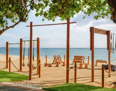 Outdoor beach gym with wooden exercise equipment, including rings and weights, set on sand beneath a tree. Ocean and sky visible in the background.