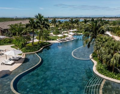 Aerial view of a curved resort swimming pool surrounded by palm trees and lounge areas
