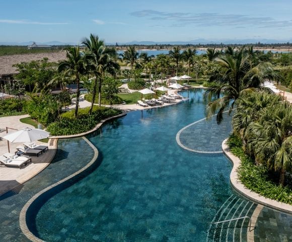 Aerial view of a curved resort swimming pool surrounded by palm trees and lounge areas