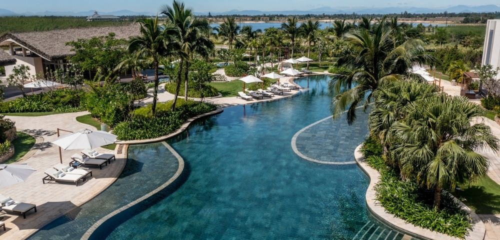 Aerial view of a curved resort swimming pool surrounded by palm trees and lounge areas