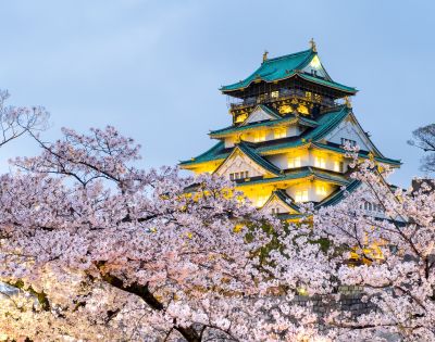 An illuminated traditional Japanese castle with tiered green roofs, framed by blooming cherry blossom trees at dusk.